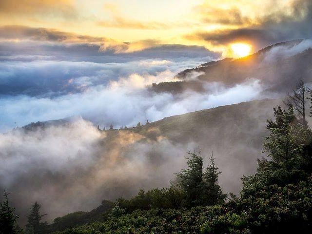 True Worship in Spirit (April 3)