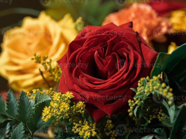 Seek God Through Generosity (April 8)