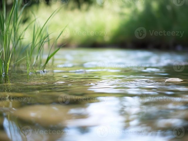 Trust God’s Provision (April 11)