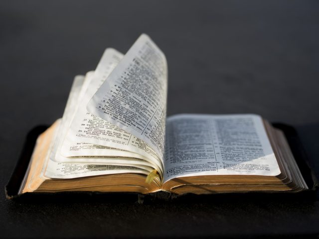 Daily Time with God’s Word (May 2)