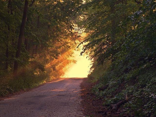 Committing Your Cause to God (May 6)