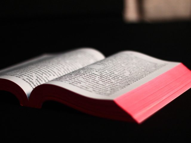 Trusting God’s Sovereignty in the Pursuit (May 20)