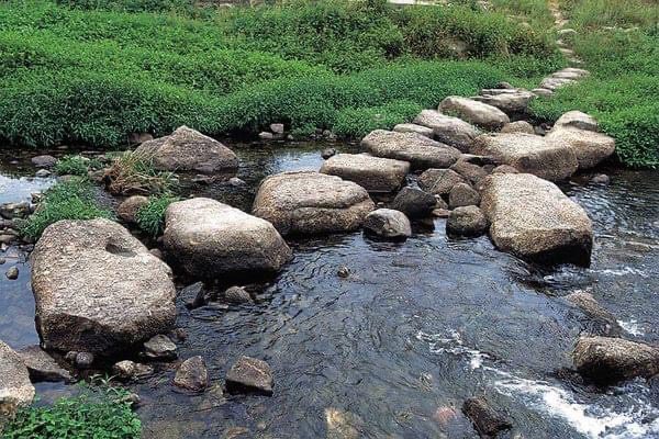 Trust God’s Provision (July 3)