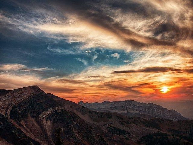Surrender Your Plans to God (July 2)