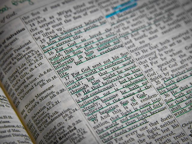 Seek God in Patient Trust (July 24)