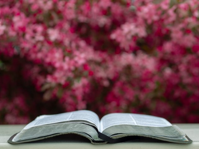Seek God’s Guidance in Trust (July 30)