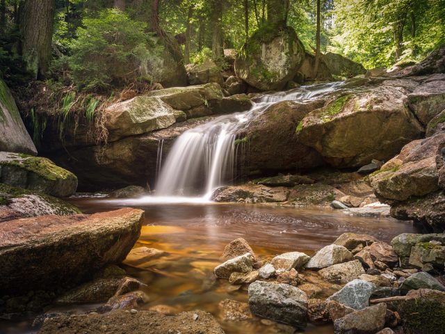 Seeking God’s Guidance Through Obedience (July 7)