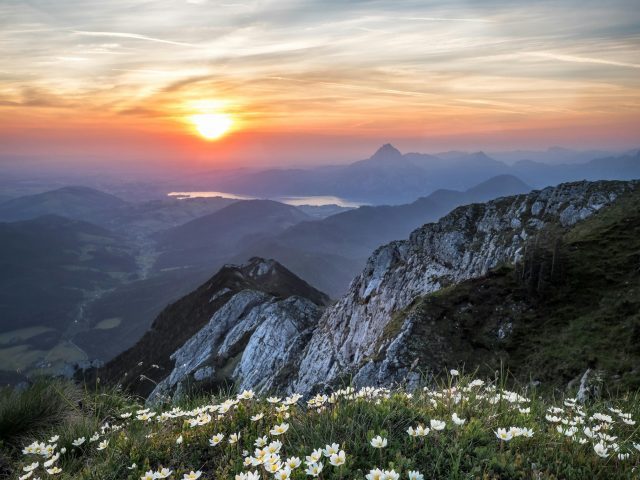 Hope in God’s Eternal Plan (July 29)