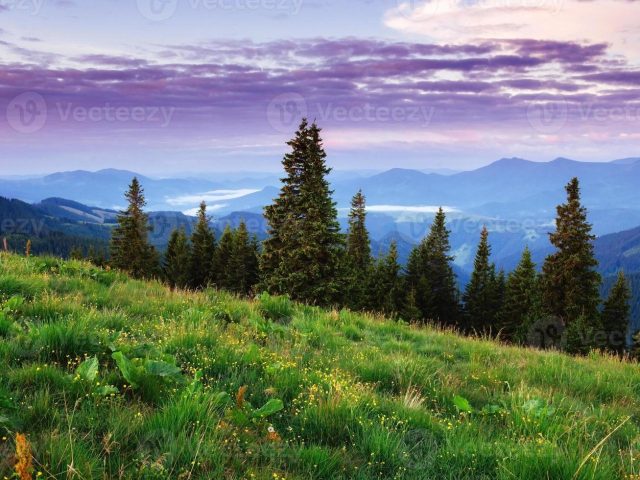 Seek God’s Comfort in Pain (August 5)