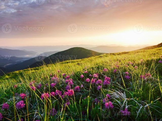 Seek God’s Comfort in Trials (August 25)