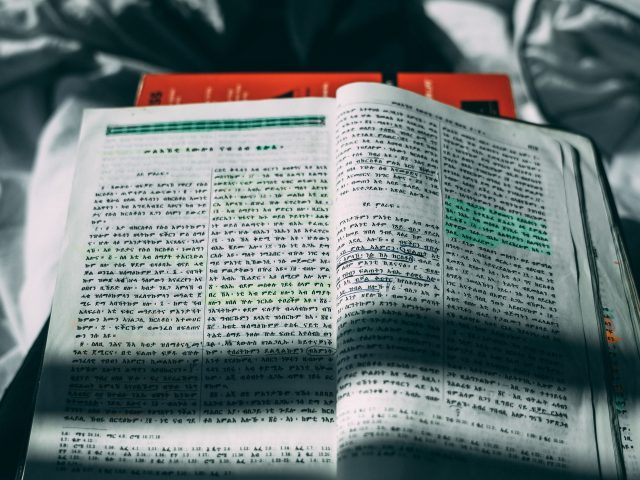 Seek God’s Truth in Obedience (September 7)