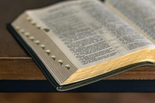 Seek God’s Purity in Love (September 23)